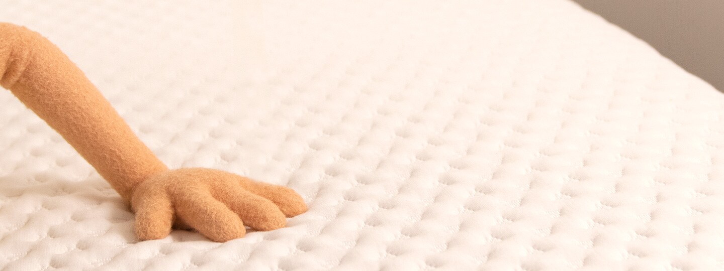 Your Best Sleep Starts Here