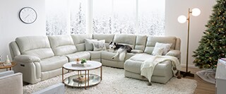 Winter Wonderland 1